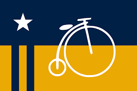 Davis Bike Flag